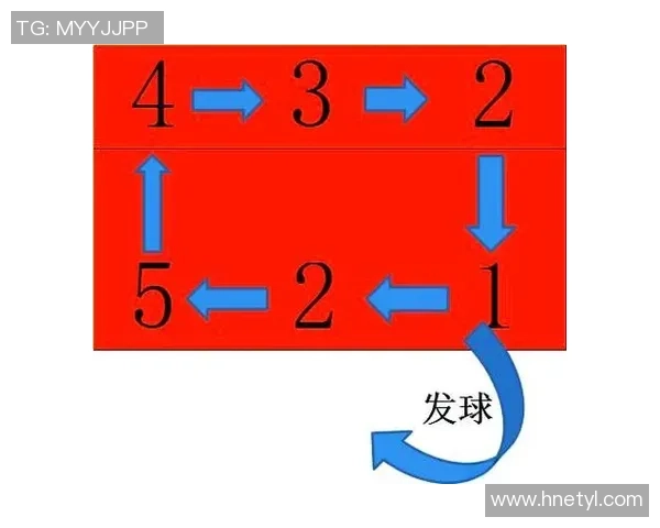 上海排球队总决赛战术解析与表现评估的深度分析